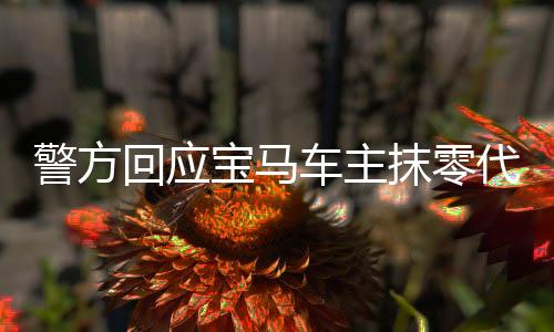 警方回应宝马车主抹零代驾费事件，理性探讨与道德引领的重要性