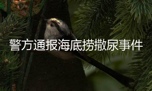 警方通报海底捞撒尿事件，揭开真相，维护正义