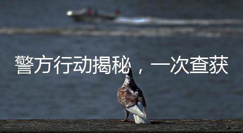 警方行动揭秘，一次查获80个泡泡玛特玩偶的幕后故事