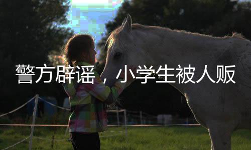警方辟谣，小学生被人贩子迷倒事件系谣言，呼吁公众保持冷静理智