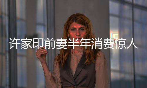 许家印前妻半年消费惊人，揭秘四百万美金背后的故事