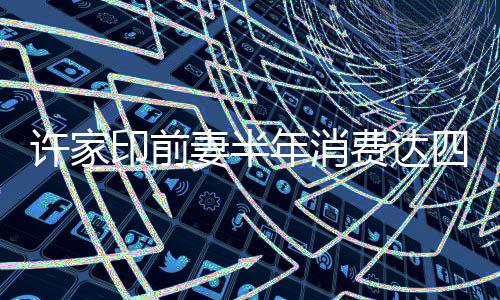 许家印前妻半年消费达四百万美金，深度解析