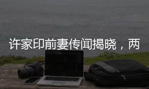 许家印前妻传闻揭晓，两未成年子女备受关注