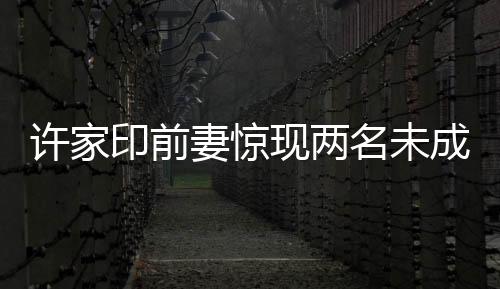 许家印前妻惊现两名未成年子女，引发社会热议