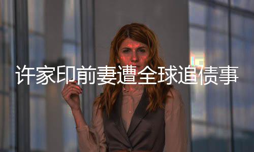 许家印前妻遭全球追债事件，深入解读与多方反应
