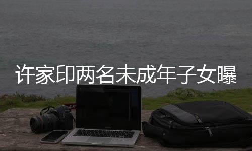 许家印两名未成年子女曝光，一家人的励志故事与人生奋斗篇章