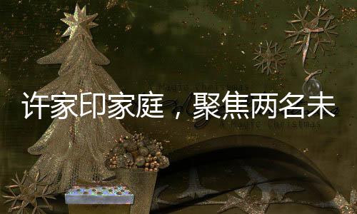 许家印家庭，聚焦两名未成年子女的成长故事