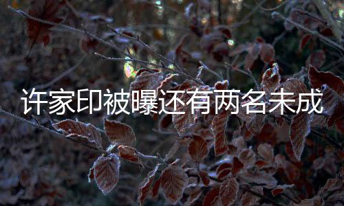 许家印被曝还有两名未成年子女，揭秘背后的故事