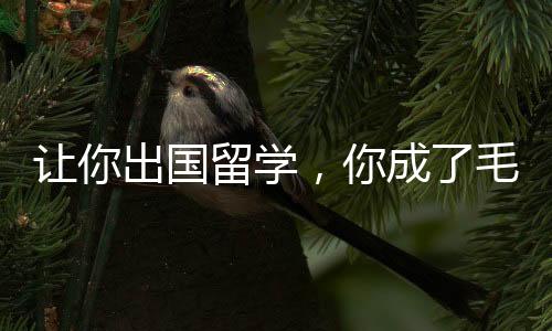 让你出国留学，你成了毛熊总统