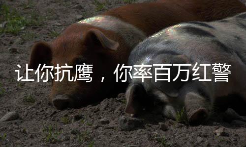 让你抗鹰，你率百万红警吊打蓝星