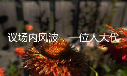 议场内风波，一位人大代表发言被三次打断引发深思