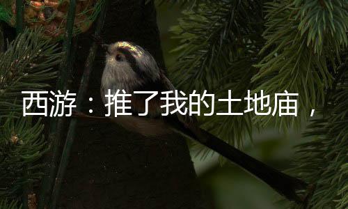 西游：推了我的土地庙，还想佛门大兴？