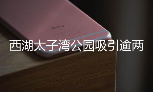 西湖太子湾公园吸引逾两亿人参与，旅游热潮一浪高过一浪