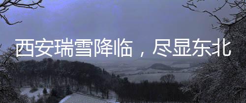 西安瑞雪降临，尽显东北之威，雪的气势非凡惊艳四方！