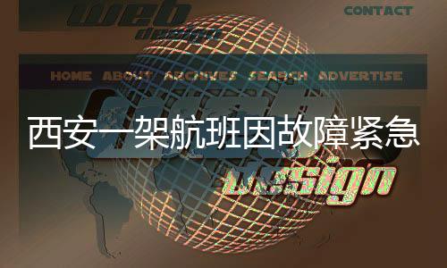 西安一架航班因故障紧急返航，发动机疑似起火引发关注