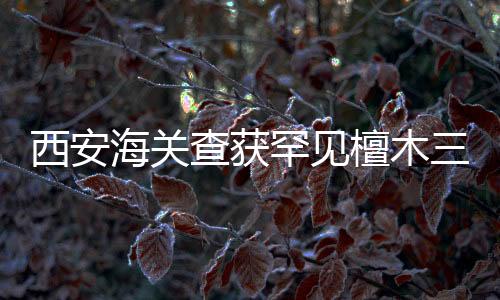 西安海关查获罕见檀木三弦琴，文物保护与文化走私的较量