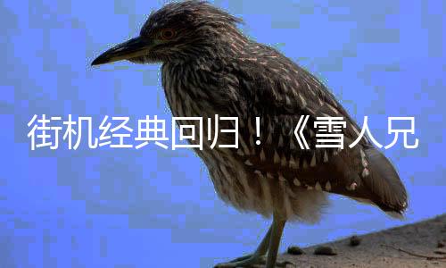 街机经典回归！《雪人兄弟2 特别版》登陆Steam与Switch平台