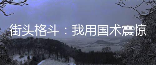 街头格斗：我用国术震惊全球！