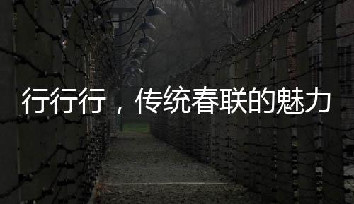 行行行，传统春联的魅力与诵读艺术