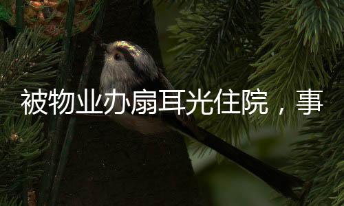 被物业办扇耳光住院，事件背后的真相与反思