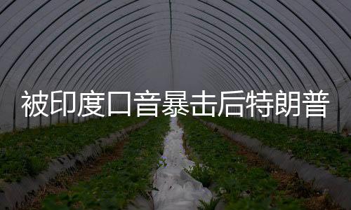 被印度口音暴击后特朗普请了个翻译，国际交流中的语言挑战与应对策略