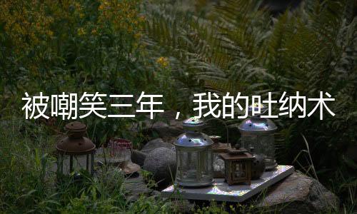被嘲笑三年，我的吐纳术无敌了