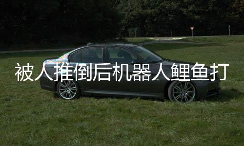 被人推倒后机器人鲤鱼打挺起身，科技与力量的完美结合