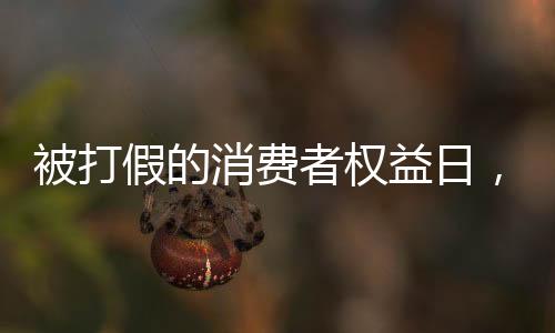 被打假的消费者权益日，披露不诚的企业‘红黑榜’项目解析