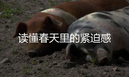 读懂春天里的紧迫感
