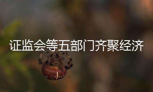 证监会等五部门齐聚经济主题记者会，共话市场发展与监管新动向