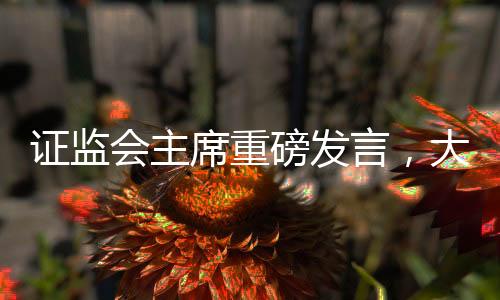 证监会主席重磅发言，大事不过年，只争朝夕，以奋进之姿开启新的篇章
