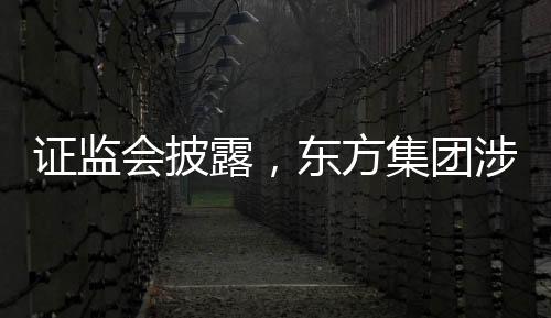 证监会披露，东方集团涉嫌重大财务造假