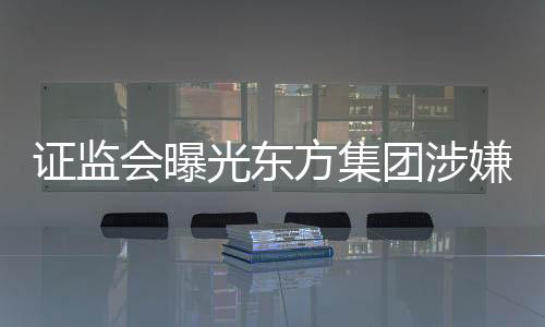 证监会曝光东方集团涉嫌重大财务造假案件揭秘