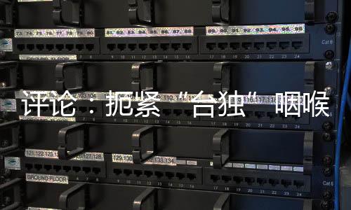 评论：扼紧“台独”咽喉 才是对和平最大的诚意