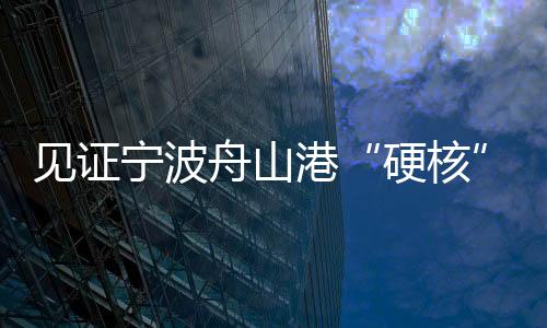 见证宁波舟山港“硬核”科技：坐办公室就能装卸集装箱