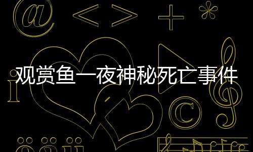 观赏鱼一夜神秘死亡事件揭秘