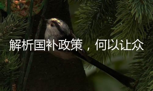 解析国补政策，何以让众多00后减轻生活费负担？