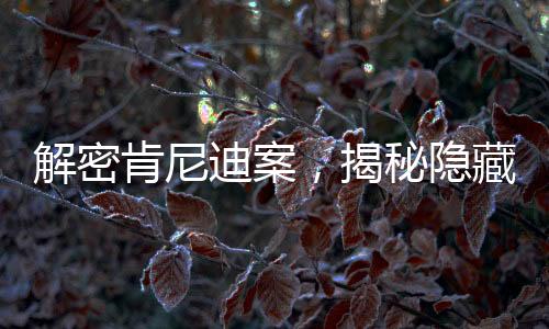 解密肯尼迪案，揭秘隐藏于六万多页文件中的真相
