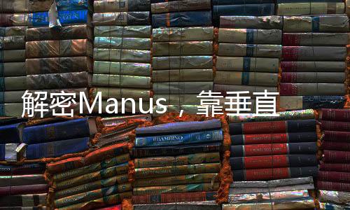 解密Manus，靠垂直整合，掌握核心竞争优势的一站式服务提供者