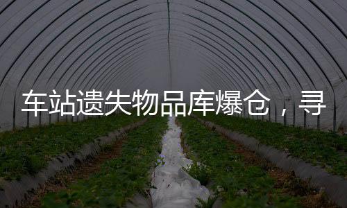 车站遗失物品库爆仓，寻回物品流程再造挑战巨大