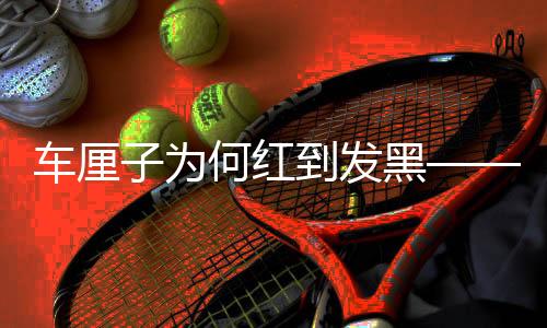 车厘子为何红到发黑——深入解析其背后的原因