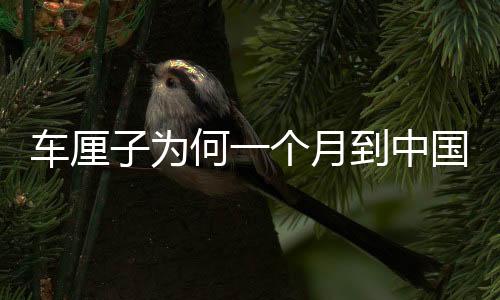 车厘子为何一个月到中国却不腐烂？揭秘其神秘旅程与保鲜之道