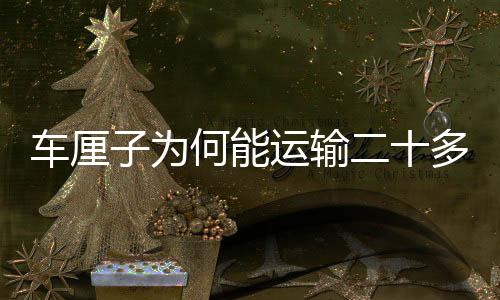 车厘子为何能运输二十多天都不坏？解密物流保鲜技术
