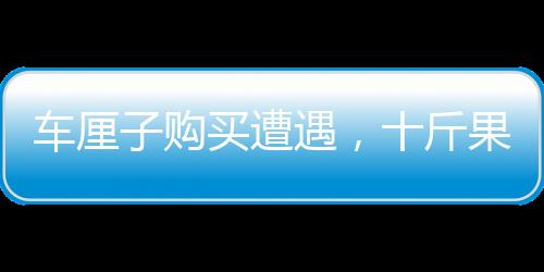 车厘子购买遭遇，十斤果实三斤坏果，消费者需谨慎