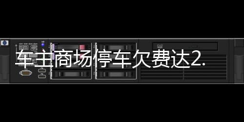 车主商场停车欠费达2.4万，事件回顾与各方反应