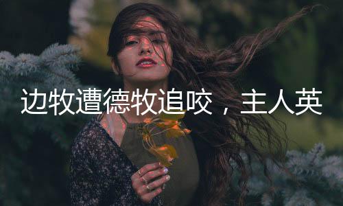 边牧遭德牧追咬，主人英勇保护——一次惊心动魄的宠物安全事件