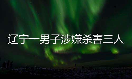 辽宁一男子涉嫌杀害三人后逃逸，警方迅速回应展开追捕行动