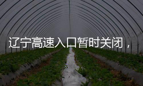 辽宁高速入口暂时关闭，关注交通动态，确保安全出行