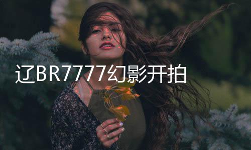 辽BR7777幻影开拍，十分钟内观影人次破四百万，引爆全网热议