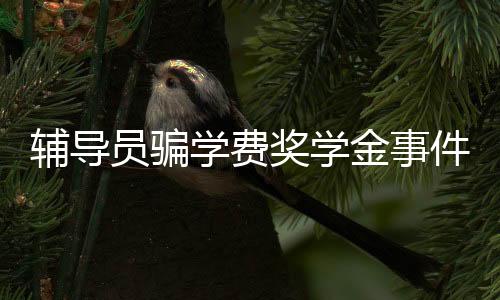 辅导员骗学费奖学金事件曝光，揭开背后的真相与反思